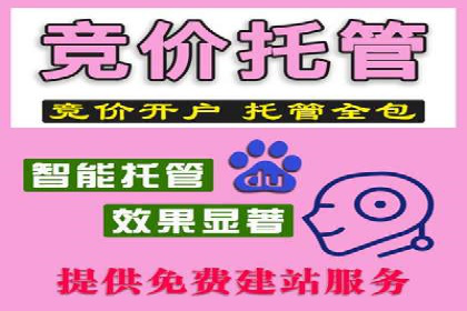 案例解读：SEM推广托管助力品牌崛起